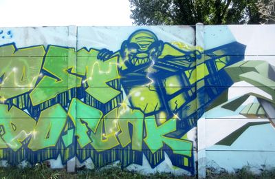 Graffs de la Fosse Piteux à Rennes vus le 11 juin 2025 (1)