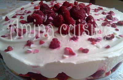 Entremets aux framboises et aux fraises, la recette!