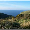 Promenade d'Automne sur les falaises du Tilleul