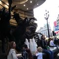 Picadilly