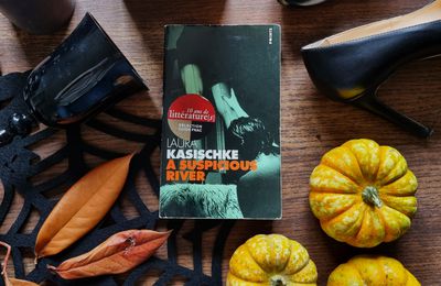 A Suspicious River - Laura Kasischke