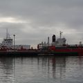 M/V STEN IDUN