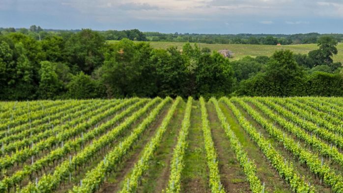 Les Vins de Val de Loire