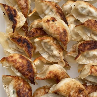 Gyoza au tofu et au thon