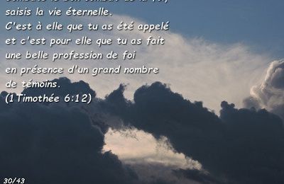 1Timothée 6:12 - Verset d'Or Pur - 30/43