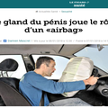 Le gland de ton pénis est un airbag