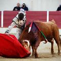 Garlin, dimanche : “Pelea de gallos”