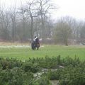 promenons-nous dans les bois...