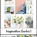 Rappel Challenge S 249 : Moodboard Cactus