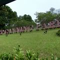 BALADE AU POUMON VERT DE SINGAPOUR = LE PARC DE FORT CANNING 