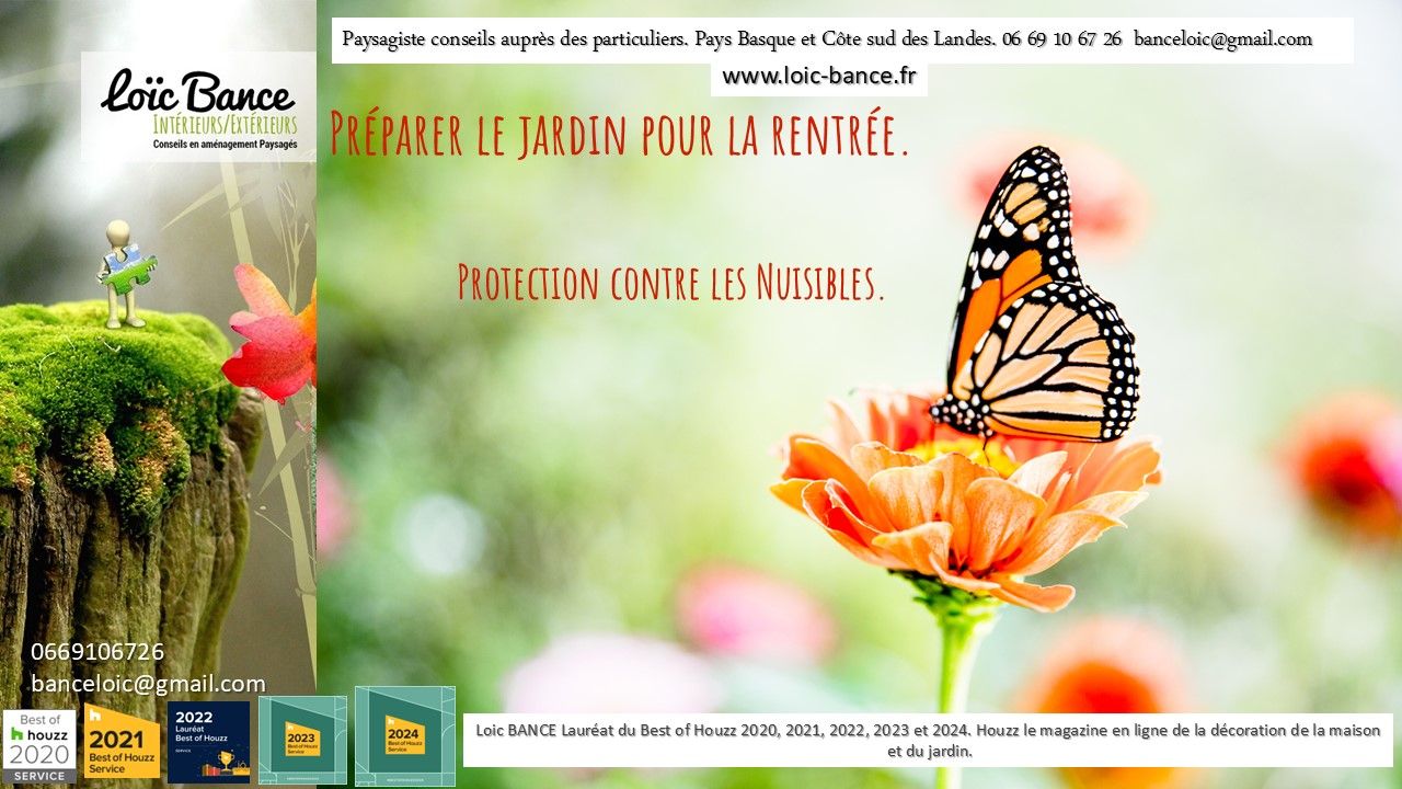 Les nuisibles peuvent encore causer des dommages importants par Paysagiste Pays Basque et Paysagiste Landes.