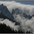 ... La tête dans les nuages ...