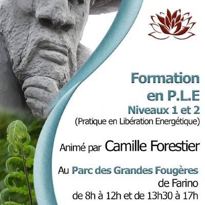 Camille Forestier revient en Août (Niveau 1/2) - Initiation aux pratiques énergétiques, aux arts mystiques et spirituels