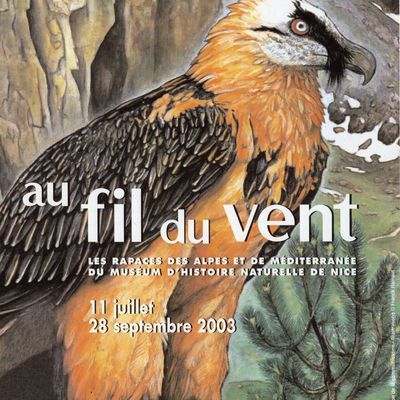 Exposition " Au fil du Vent, les Rapaces des Alpes et de Méditerranée - Muséum d'Histoire Naturelle de Nice