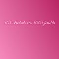 101 choses en 1001 jours