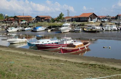 Le port ostréicole de La Teste-de-Buch le 22 juillet 2014 (10)