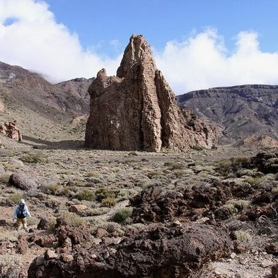 Tenerife : caldeira et bêbêtes