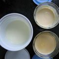 Miam, des yaourts au dulce de leche :: Ñammm, yogures de dulce de leche