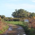 Balade à Saint-Jean-du-Doigt: rando de la Pointe de Runglaz 3