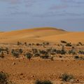 Sahara: des paysages à couper le souffle