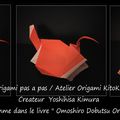 Origami Animaux Drôlesp -Lotte-