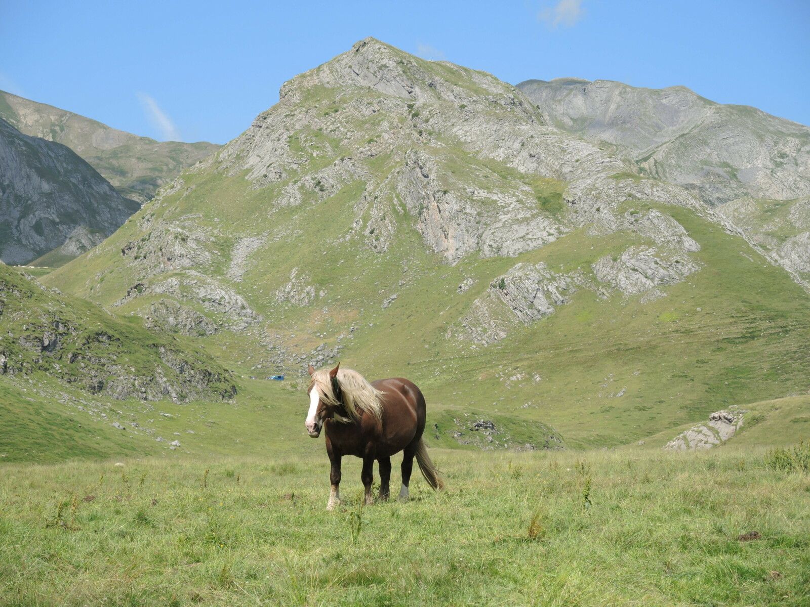 Col du Pourtalet, rando Pombie-Peyreget, cirque d'Anéou, cheval. (64)