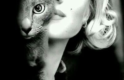 Marilyn et son chat