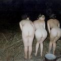3 grâces ou 3 garces?