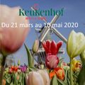 Keukenhof. Paysagiste Pays basque Agenda 2020