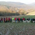 Les photos de la marche du 4 décembre 2016