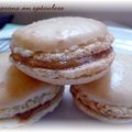 Des macarons parfaits au speculoos