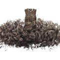 High Museum of Art premieres North American tour of Iris van Herpen's innovative haute couture designs