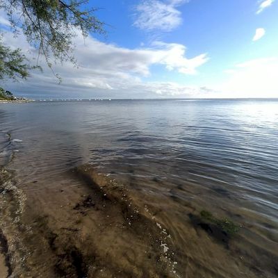 Au Bassin D'Arcachon ici et là