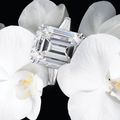 Freeman's to offer diamond from the Collection of Dorrance "Dodo" H. Hamilton in May auction