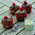 Cupcakes choco-coco-framboise