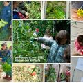 ateliers permaculture de mai 2025 en classe de Maison des Enfants