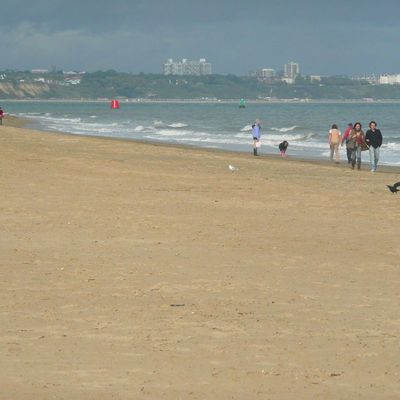 Studland beach, notre côte sauvage