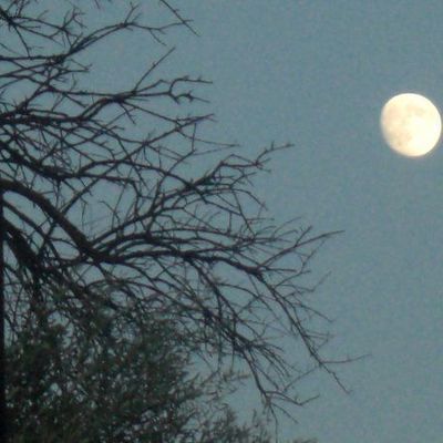 Photo de lune (Alger Octobre 2009)