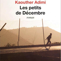 Rentrée littéraire 2019 : Les petits de décembre : Kaouther Adimi confirme tout son talent 