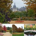 Événements, sorties jardins et nature en Février