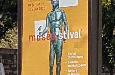 musée stival Lyon Rhône festival