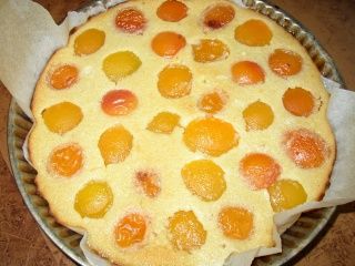 Clafoutis de semoule aux abricots