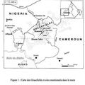 LE PEUPLEMENT DES GRASSFIELDS : RECHERCHES ARCHEOLOGIQUES DANS L'OUEST DU CAMEROUN.