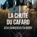 La Chute du Cafard de Denis Zott