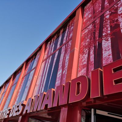 Derrière le rideau des Amandiers