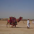 Jaisalmer, encore