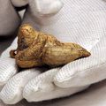 Sculpture Carved 35,000 Years Ago Might be World's Oldest According to Archaeologists 