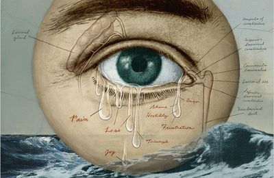 Les yeux de Rosen