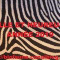 Belle et heureuse année 2019