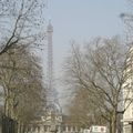 Trên đường phố Paris (4)